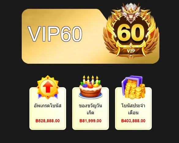 ระบบ VIP ระดับพรีเมียมจาก OKVIP