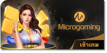 Microgaming gaming